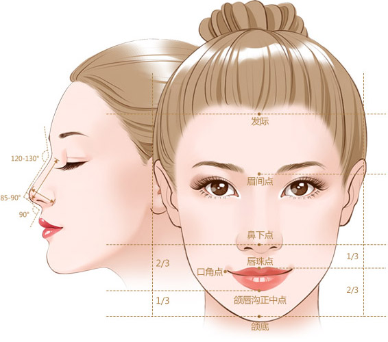 根据面部五官黄金比例,时尚美学等制定个性化隆鼻方案,全程精细化操作