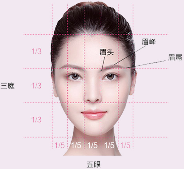 ƴɼ̳ǡҵĶά롿 ҵרü ֳƶ쵰